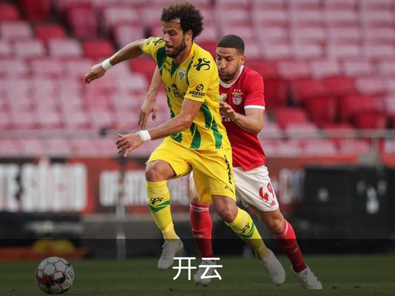 关于开云